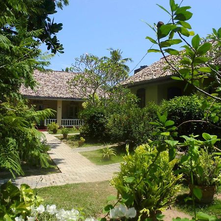 Top Of The Hill Guesthouse Weligama Eksteriør billede