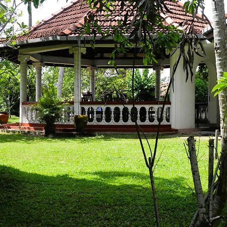 Top Of The Hill Guesthouse Weligama Eksteriør billede