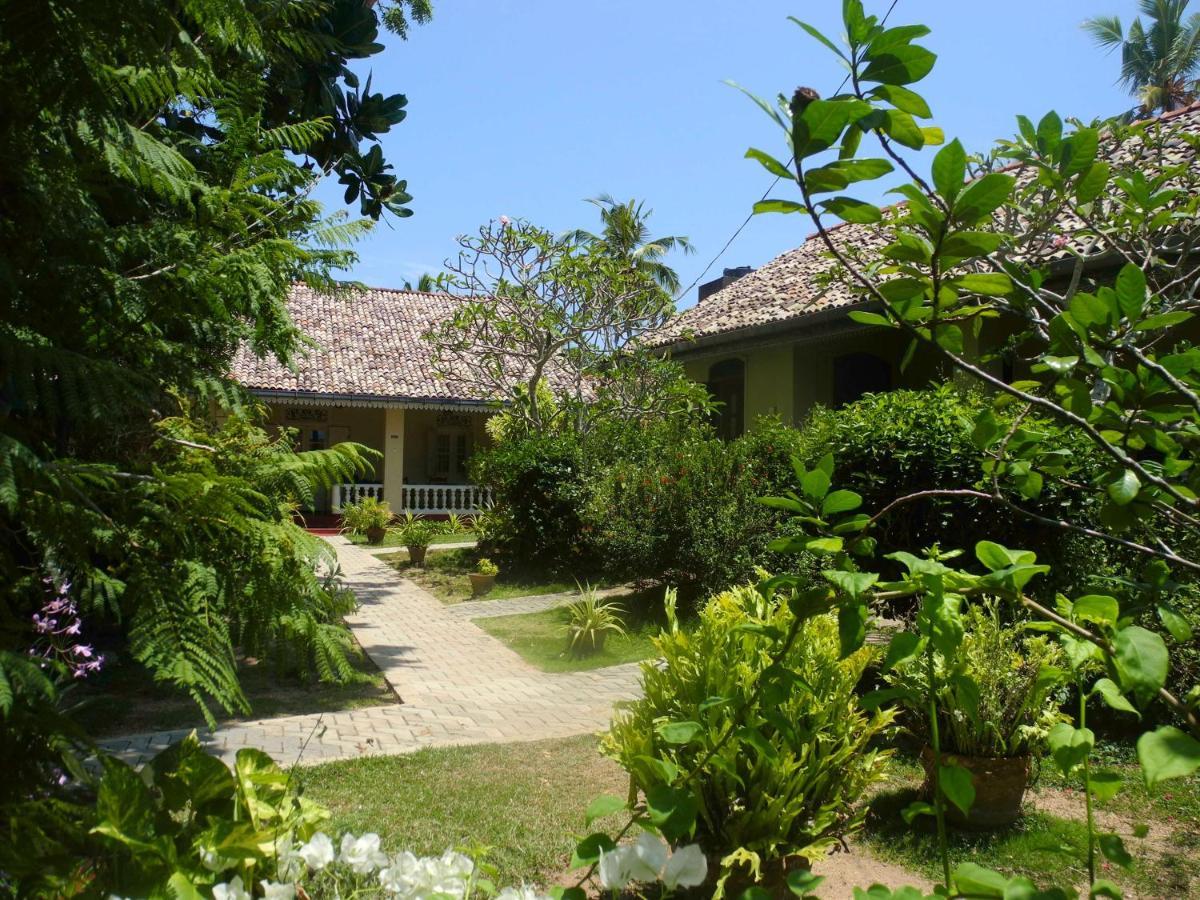 Top Of The Hill Guesthouse Weligama Eksteriør billede