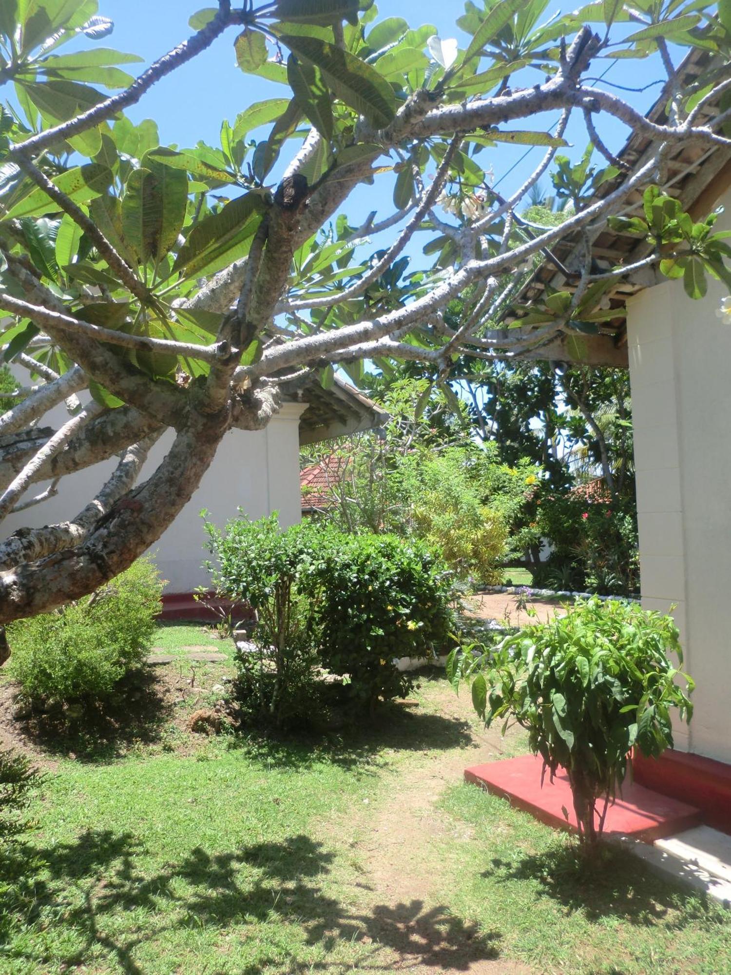 Top Of The Hill Guesthouse Weligama Eksteriør billede