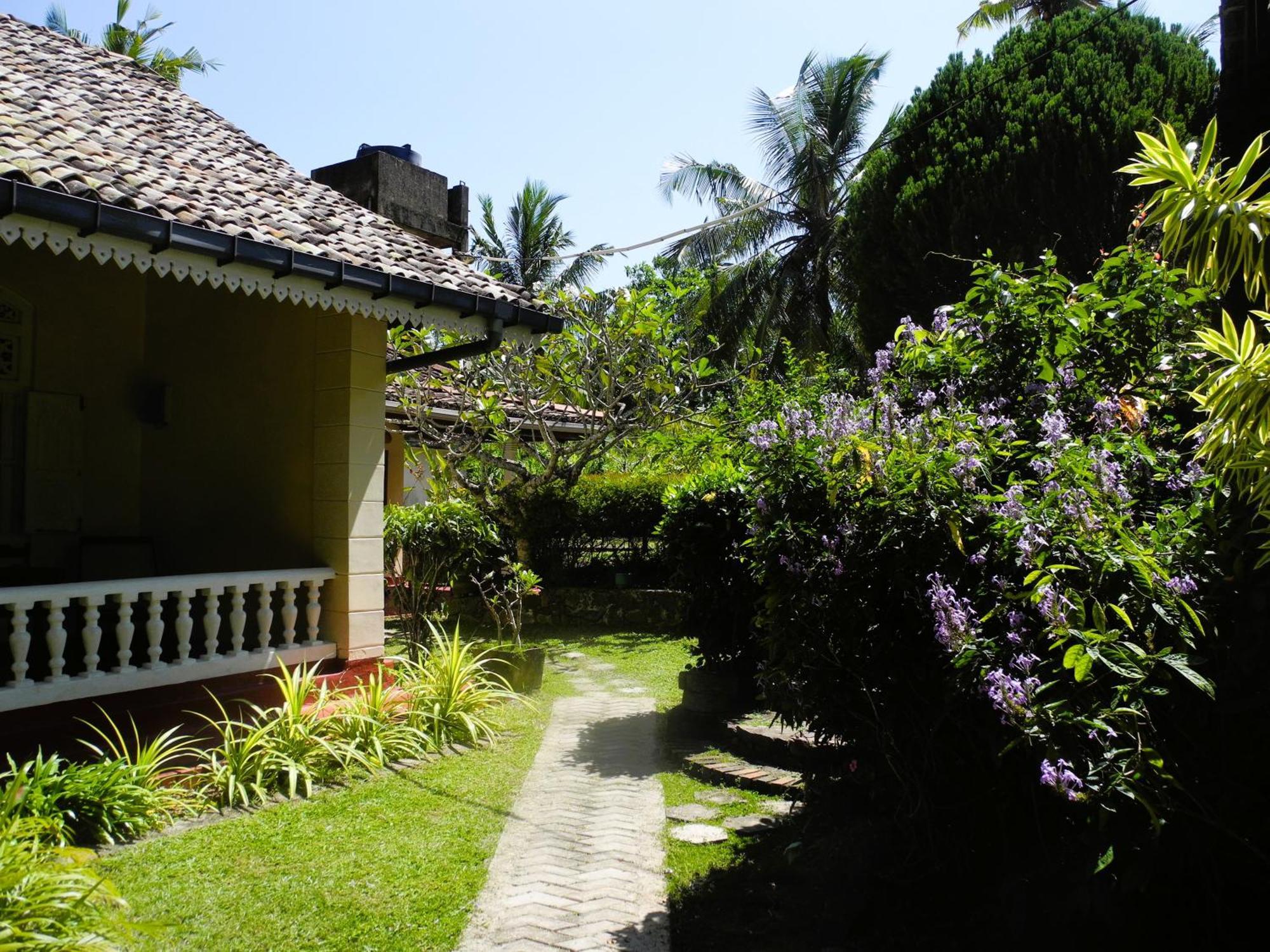 Top Of The Hill Guesthouse Weligama Eksteriør billede