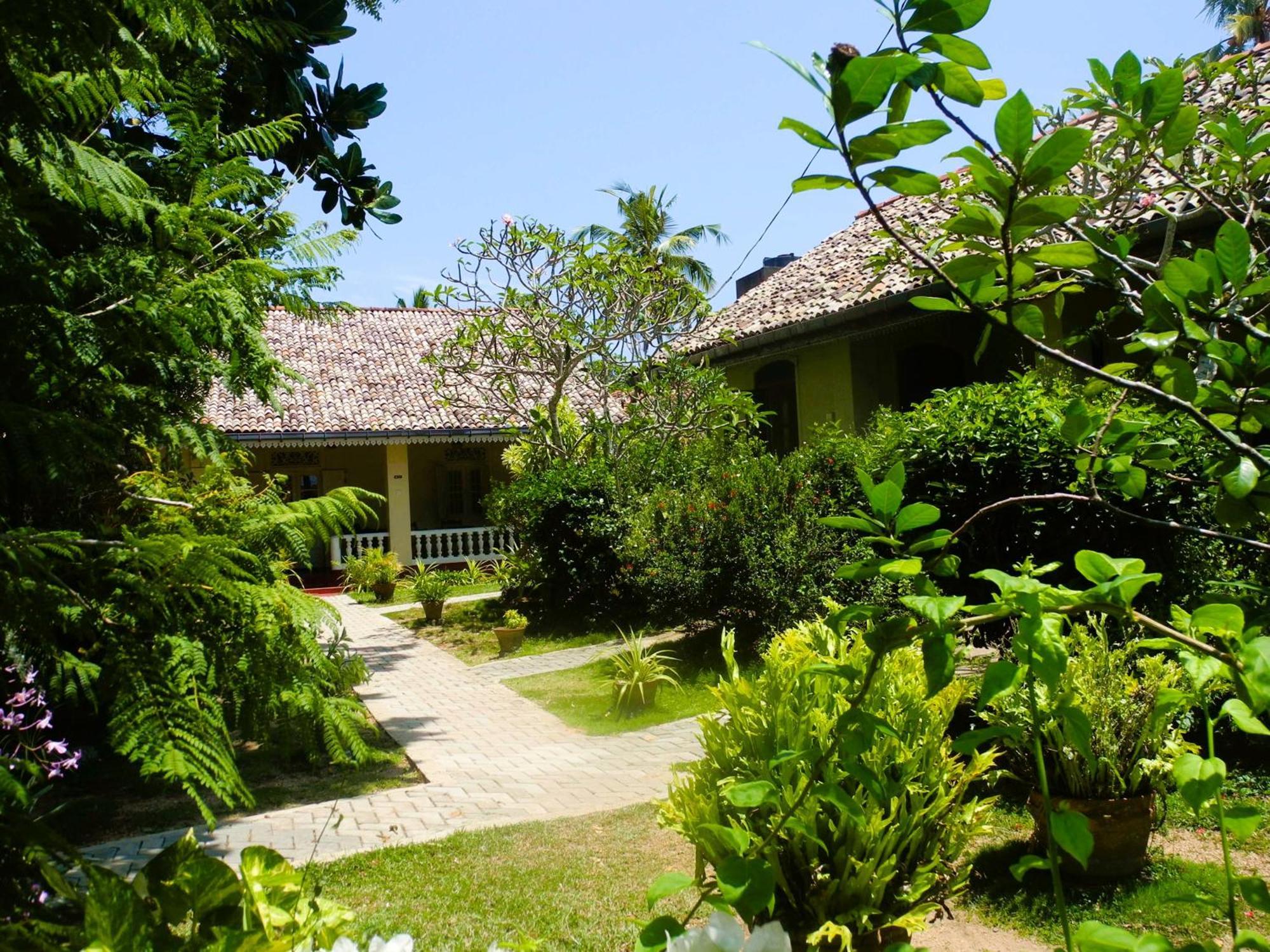 Top Of The Hill Guesthouse Weligama Eksteriør billede