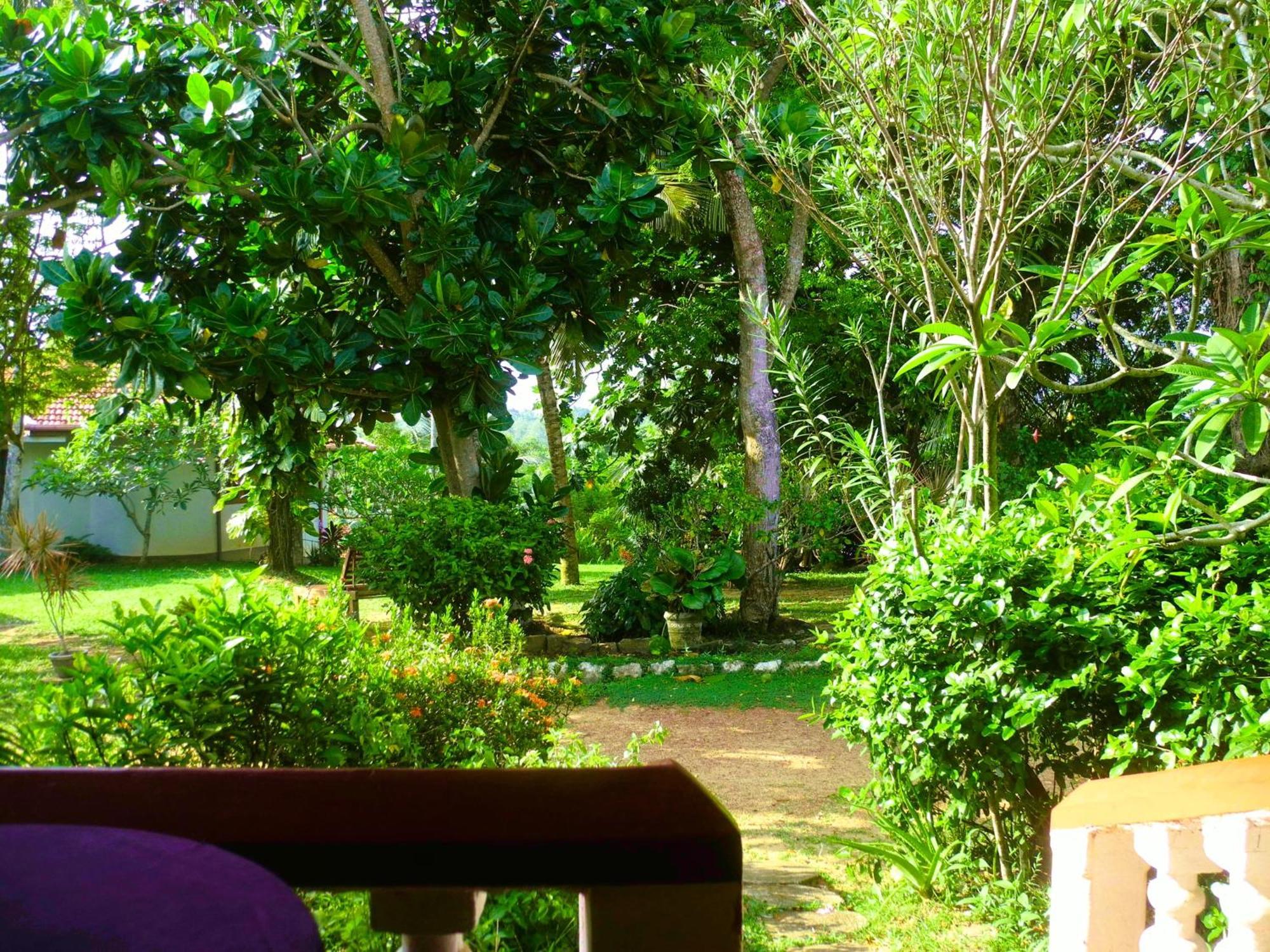 Top Of The Hill Guesthouse Weligama Værelse billede