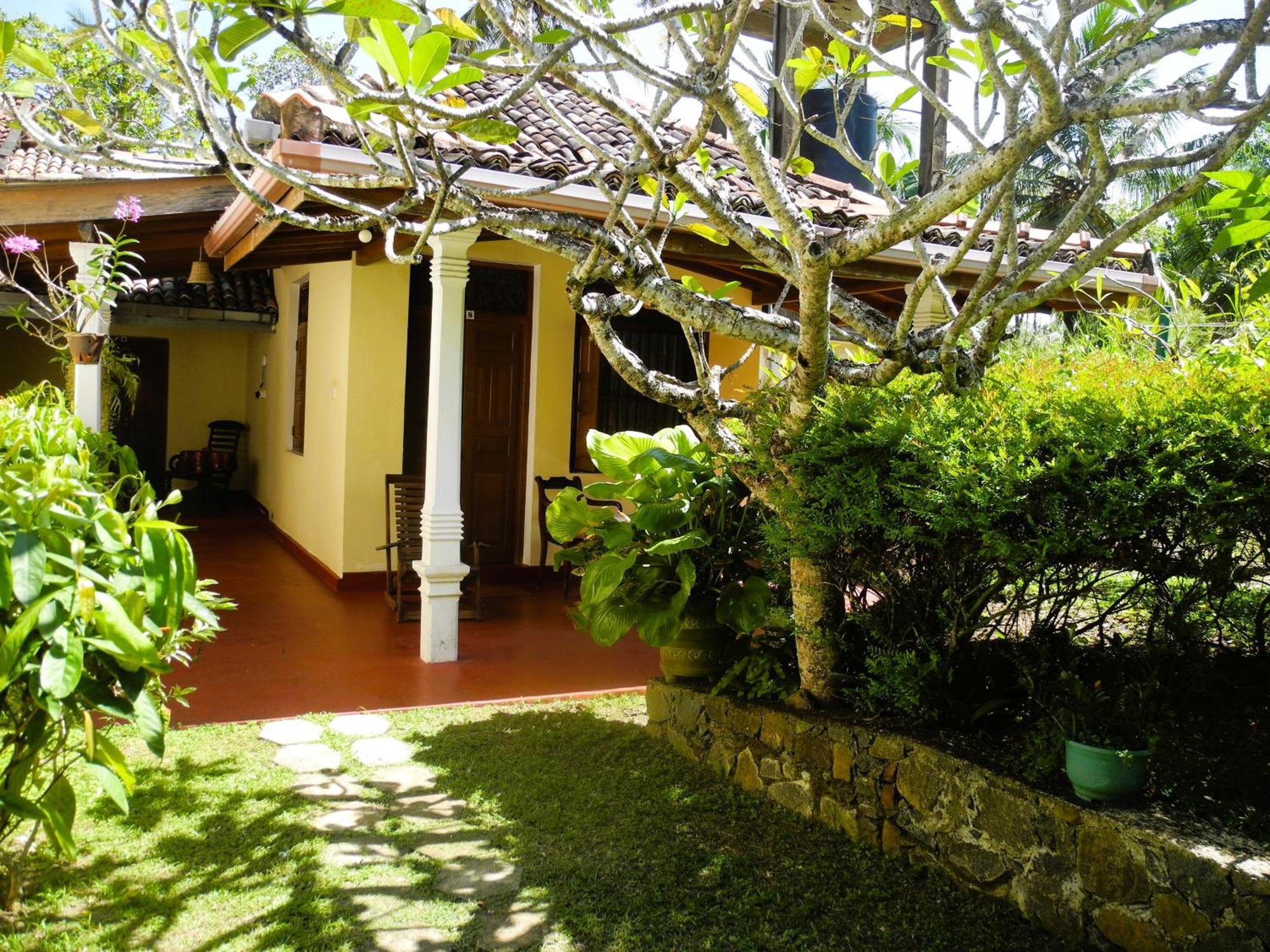 Top Of The Hill Guesthouse Weligama Eksteriør billede