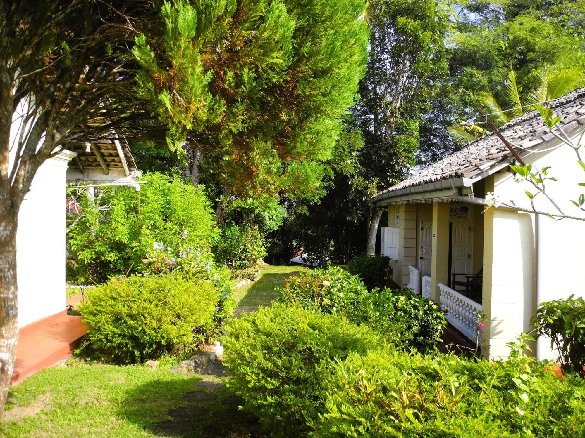 Top Of The Hill Guesthouse Weligama Eksteriør billede